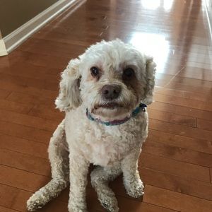 Meet your Posher, Krissy